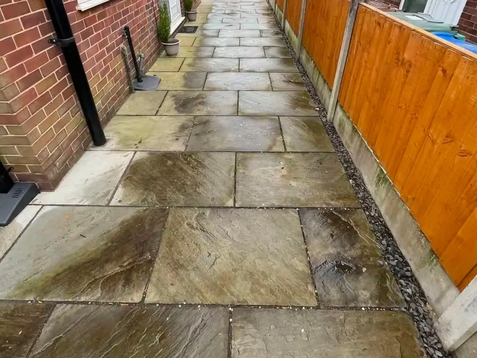 Before side path clean